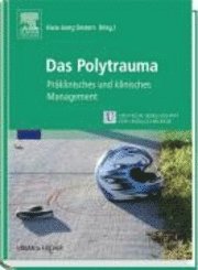 Hans-Joerg Oestern - Das Polytrauma, Inbunden