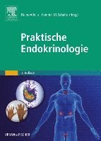 bokomslag Praktische Endokrinologie