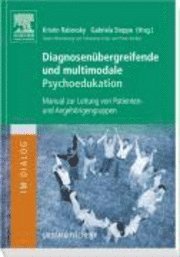 Kristin Rabovsky, Gabriela Stoppe - Diagnosen�bergreifende und multimodale Psychoedukation, Häftad