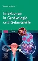 bokomslag Infektionen in Gynäkologie und Geburtshilfe