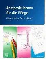 Elsevier GmbH - Anatomie lernen f�r die Pflege, Häftad