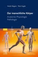 bokomslag Der menschliche Körper