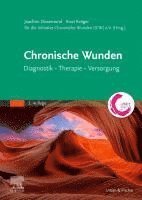 Chronische Wunden