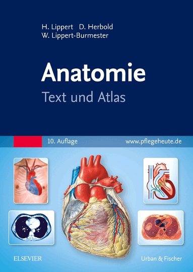 Herbert Lippert, Desiree Herbold, Wunna Lippert-Burmester - Anatomie, Häftad