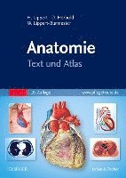 bokomslag Anatomie