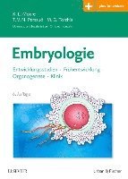 Embryologie 1