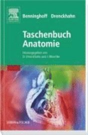 bokomslag Benninghoff Taschenbuch Anatomie