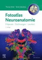 bokomslag Fotoatlas Neuroanatomie