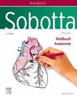 Oliver Kretz - Sobotta Malbuch Anatomie, Häftad