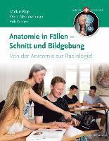 bokomslag Anatomie in Fällen - Schnitt und Bildgebung