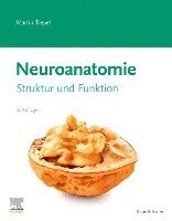 bokomslag Neuroanatomie