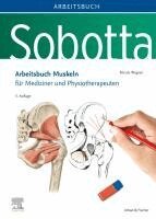 Nicole Wagner - Sobotta Arbeitsbuch Muskeln, Häftad