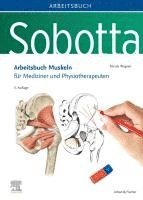 bokomslag Sobotta Arbeitsbuch Muskeln