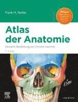 Frank H. Netter - Netter Atlas der Anatomie, Inbunden