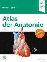 bokomslag Atlas der Anatomie