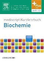 bokomslag Kurzlehrbuch Biochemie