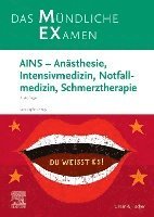 bokomslag MEX Das Mündliche Examen - AINS