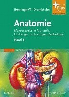 bokomslag Benninghoff, Drenckhahn, Anatomie