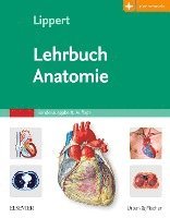 bokomslag Lehrbuch Anatomie