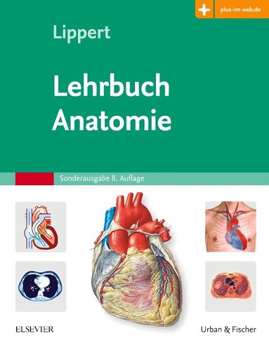 Herbert Lippert - Lehrbuch Anatomie, Häftad