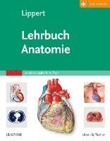 Lehrbuch Anatomie 1