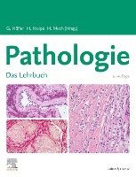 bokomslag Lehrbuch Pathologie