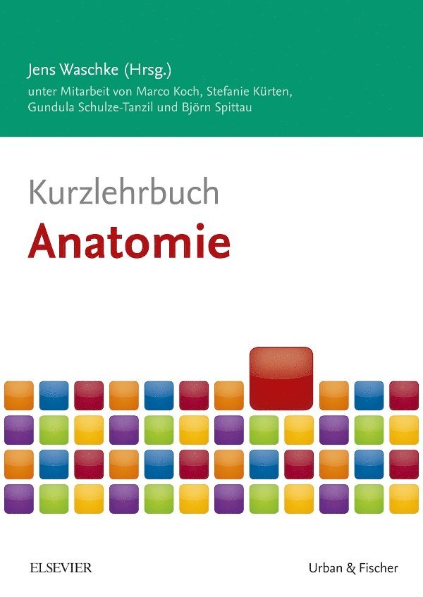 Marco Koch, Stefanie K�rten, Gundula Schulze-Tanzil, Bj�rn Spittau, Stefanie Kürten, Björn Spittau, Jens Waschke - Kurzlehrbuch Anatomie, Häftad