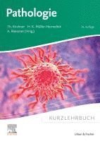 bokomslag Kurzlehrbuch Pathologie