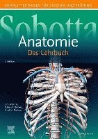 bokomslag Sobotta Lehrbuch Anatomie