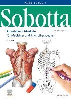 bokomslag Sobotta Arbeitsbuch Muskeln