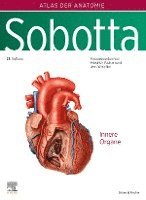 bokomslag Sobotta, Atlas der Anatomie des Menschen Band 2