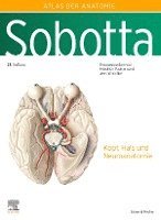 bokomslag Sobotta, Atlas der Anatomie des Menschen Band 3