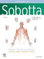 bokomslag Sobotta Lerntabellen Anatomie Muskeln, Gelenke und Nerven