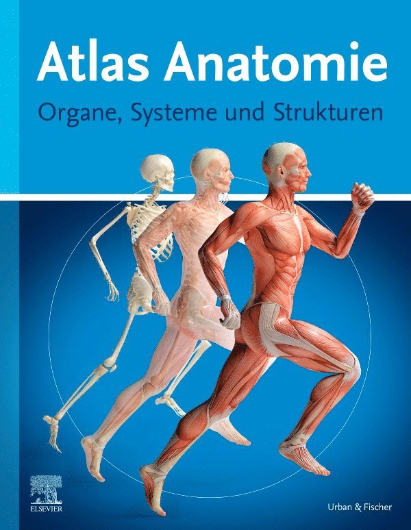 Atlas Anatomie f�r Laien
