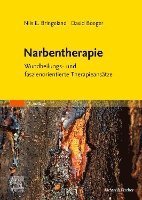 bokomslag Narbentherapie