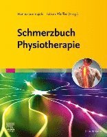 bokomslag Schmerzbuch Physiotherapie
