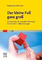 bokomslag Der kleine Fuß ganz groß