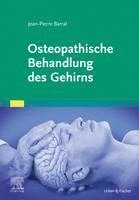 bokomslag Osteopathische Behandlung des Gehirns