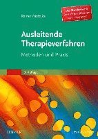 bokomslag Ausleitende Therapieverfahren