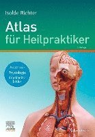 bokomslag Atlas für Heilpraktiker