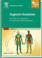 bokomslag Segment-Anatomie