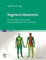 bokomslag Segment-Anatomie