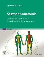 Segment-Anatomie 1