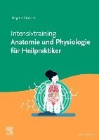 bokomslag Intensivtraining Anatomie und Physiologie für Heilpraktiker