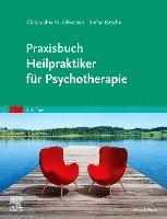 bokomslag Praxisbuch Heilpraktiker für Psychotherapie