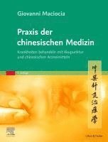 bokomslag Praxis der chinesischen Medizin