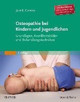 bokomslag Osteopathie bei Kindern und Jugendlichen Studienausgabe