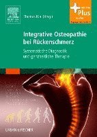 bokomslag Integrative Osteopathie bei Rückenschmerz