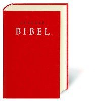 bokomslag Zürcher Bibel