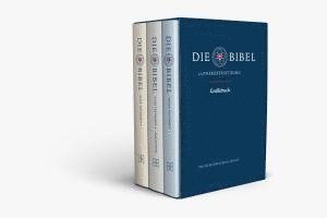 bokomslag Lutherbibel revidiert 2017